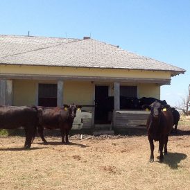 The Abandoned Farmhouse Image
